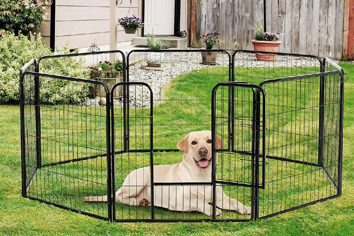 Diseño y ubicación de la valla para perros